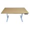 Uncaged Ergonomics RiseUpElectricStandingDesk48X30"BambooDesktopSitStandOffice, RUwb48 RUWB48 - alternate 3